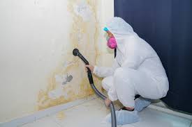 Why You Should Choose Our Mold Remediation Services in Corrigan, TX